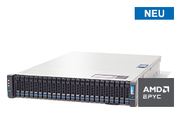 Server - Rack Server - 2HE - RECT™ RS-8639R24 - 2HE Rack Server mit AMD EPYC Genoa Prozessoren bis 128 Kerne