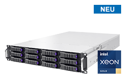 Server - Rack Server - 2HE - RECT™ RS-8691N12 - Single Intel Xeon Scalable im 2HE Rack Server mit hybride Backplane