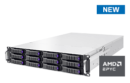 Server - Rack Server - 2U - RECT™ RS-8639N12 - 2U Rack Server with AMD EPYC 9005 CPUs up to 160 Cores